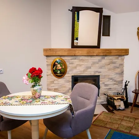 Casa De Sub Magura Guest house